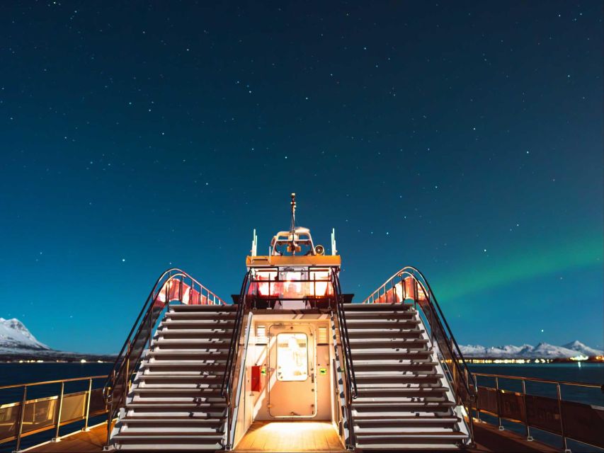 Svolvær: Northern Lights and Full Steam Cruise with Tasting - Northern Lights hunting in Vestfjorden: how the crew plays the odds