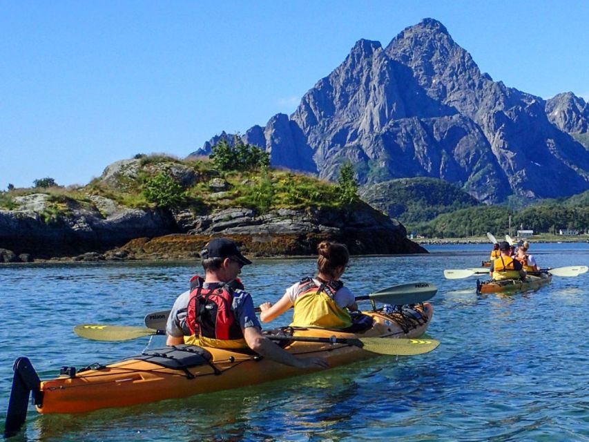 Svolvaer: Sea Kayaking Experience - Wildlife Watching: Seabirds, White-Tailed Sea Eagles, and the Elusive Ones