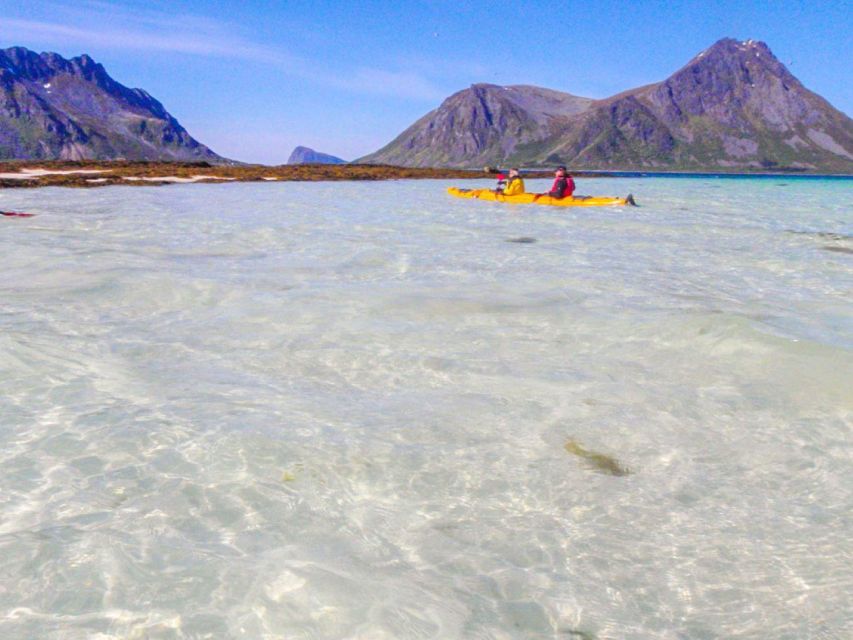 Svolvaer: Sea Kayaking Experience - Booking Tips: Make It Easier on Yourself
