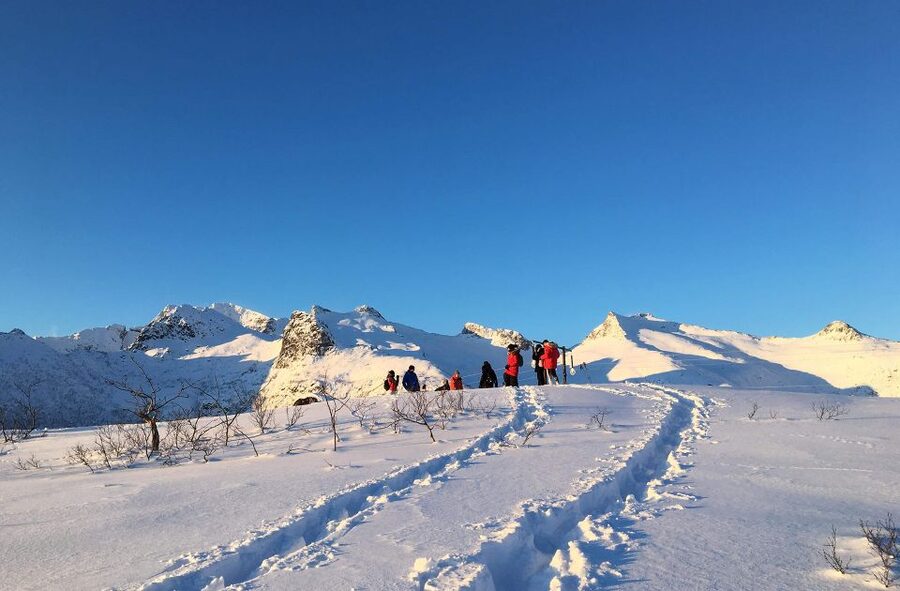 Svolvær: Snowshoe Nature Explorer - The 3-Hour Winter Timing That Works