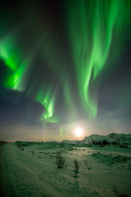 Svolvær: Ultimate Aurora Hunt - Souvenir Photos You Can Share, Not Just Screenshots