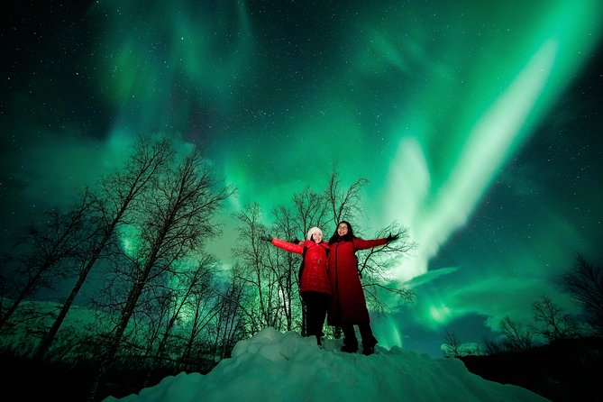 Symphony - Arctic Breeze, teamining up with nature. - Heated bus, panoramic windows, and photo support that you can use