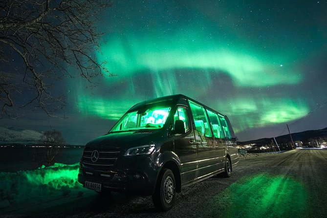 Symphony - Arctic Breeze, teamining up with nature. - Price and value: what $188.03 really buys you