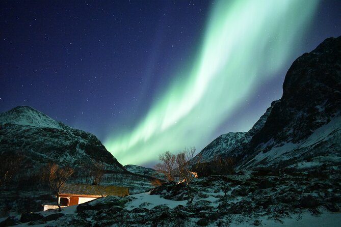 The Aurora Tour - small group, northern lights - How the guide searches the sky, and why the route feels flexible