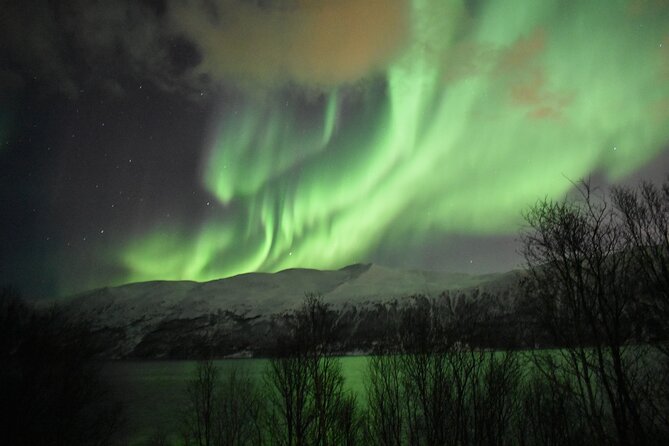 The Aurora Tour - small group, northern lights - When clouds win: how to manage the disappointment factor