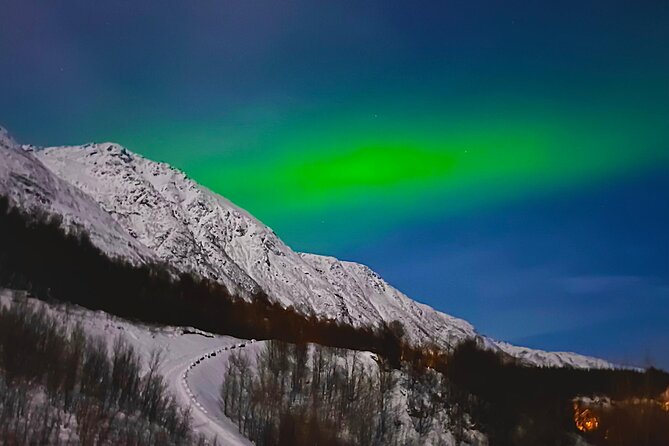 The Aurora Tour - small group, northern lights - Price and value: is $233.58 per person worth it?