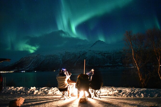 The Aurora Tour - VIP trip for northern lights, aurora borealis - Key points to know