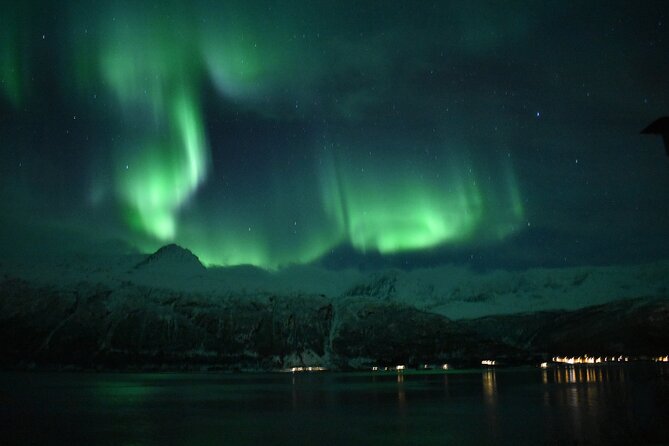 The Aurora Tour - VIP trip for northern lights, aurora borealis - The Tromsø Fjords night: campfire warmth, food, and the aurora hunt
