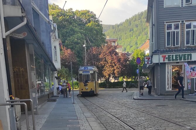 The influence of Bergen in Norway's development, city tour - Bergen in two hours: culture, trade, and kings, in walking order