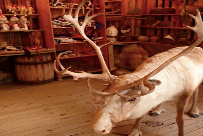 The North Cape, Reindeer and Sami Families Tour - Fishing village stop: a quick look at working coast life