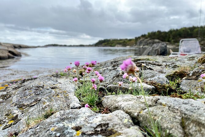 The Southern Norwegian Archipelago Experience - Southern Norway by boat: 4 hours, private, and very practical