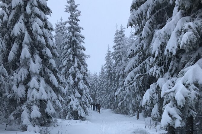 The Ultimate Norwegian Skiing Experience - Skullerud’s Snow-Machine Arena: Why Beginners Love It