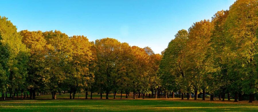 The Vigeland Park in Oslo: Insta-Perfect Walk with a Local - Price and value: is $124 per person fair?
