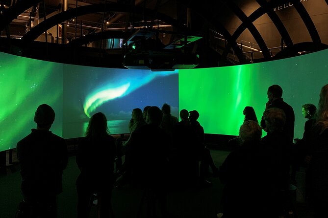 The Viking Planet Museum - Mini Group (4 adults) - Cinema-style screens, village action, and the pacing of the visit