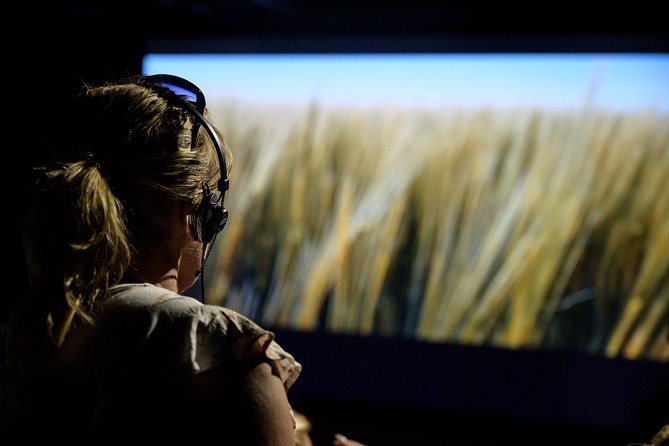 The Viking Planet Museum Ticket - The VR game is optional, so plan based on your comfort level