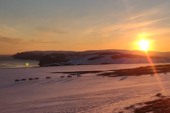 The VIP North Cape Tour - Honningsvåg to North Cape, without the big-bus headache