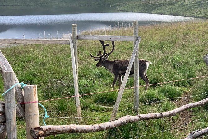The VIP North Cape Tour - Sami culture on the route: what you can expect in practice