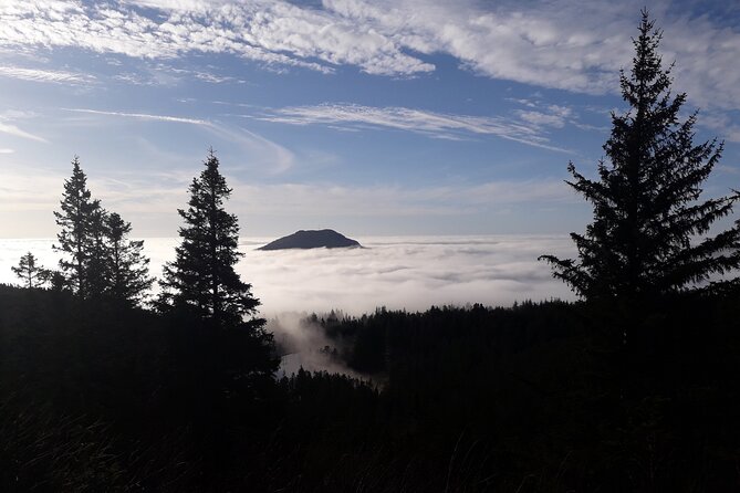 Three-summit hike in Bergen - The guide factor: how the walk turns into real Bergen