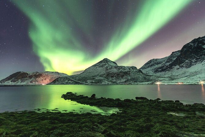 Tour of the authentic fjords of Kvaløya - Quick takeaways before you book