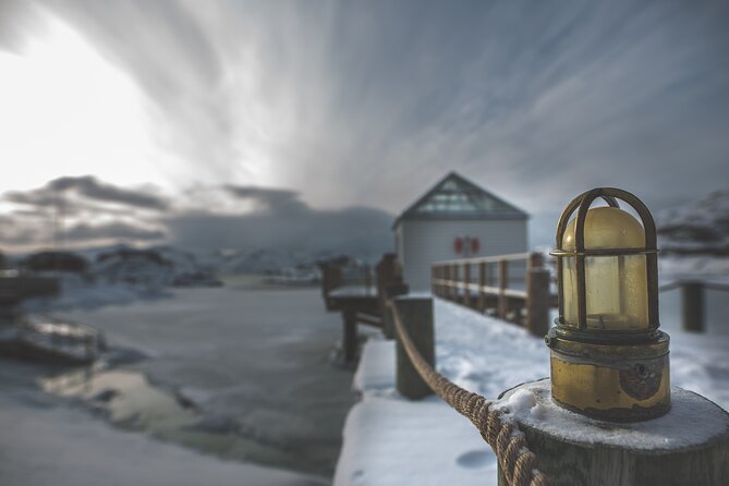 Tour of the authentic fjords of Kvaløya - Price and Value: What You Get for About $151