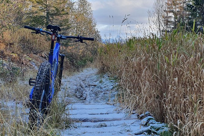 Trail challenge with electric mountainbike - The fun descent: narrow trail first, then a forest-road feel
