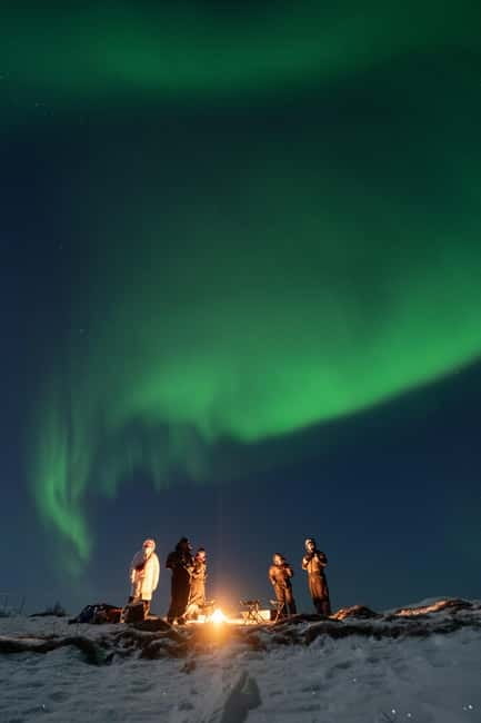 Tromsø: Adult Only Aurora hunt with Citizen Science - Citizen science on an Aurora night, what it adds to the whole trip