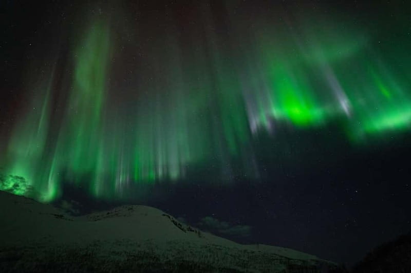 Tromsø: Adult Only Aurora hunt with Citizen Science - Who should book, and who might want to skip it