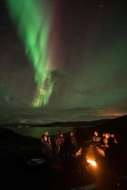 Tromsø: Adult Only Aurora hunt with Citizen Science - From Scandic Ishavshotel to Arctic darkness