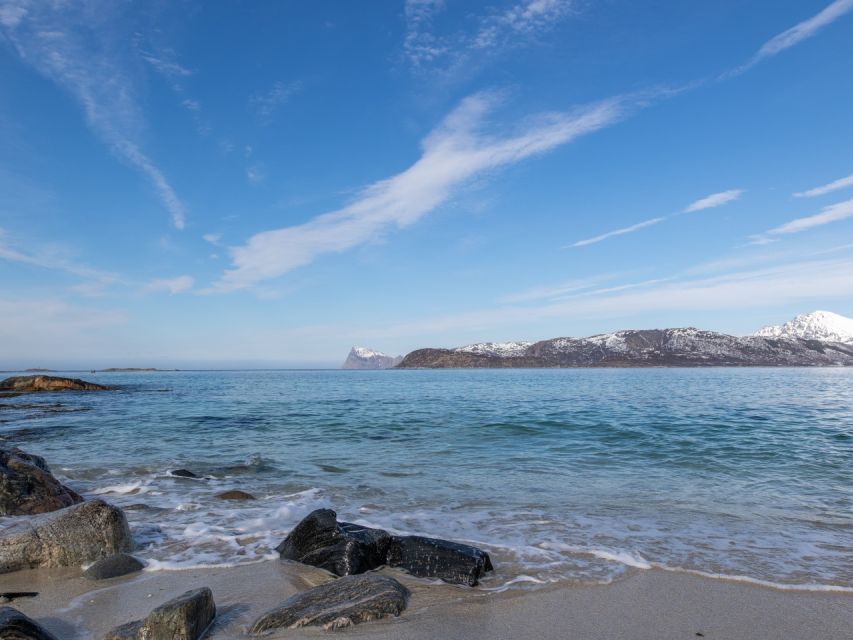 Tromso: All-Inclusive Arctic Fjords and Sommarøy Scenic Tour - Key things I’d bet on before you book
