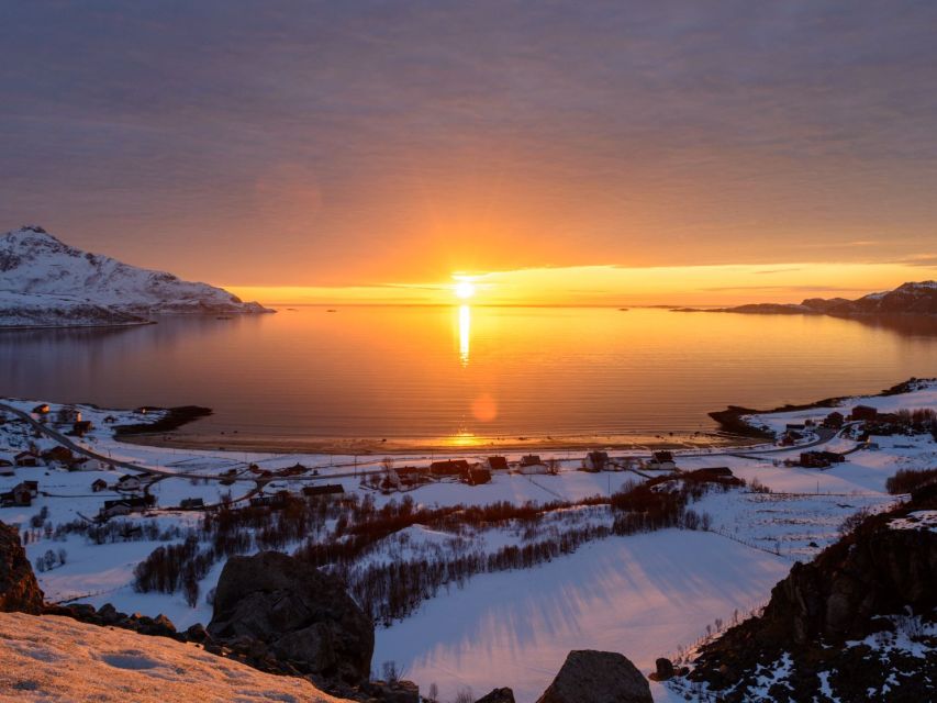 Tromso: All-Inclusive Arctic Fjords and Sommarøy Scenic Tour - Where you meet: Breivika Cruise Terminal or the Prostneset shop