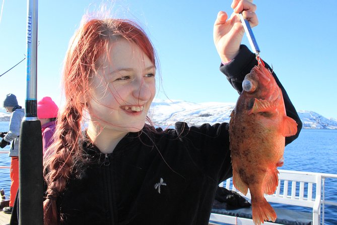 Tromsø: Arctic Fjord Cruise & Fishing Experience - Key Things That Make This Tromsø Fjord and Fishing Trip Work