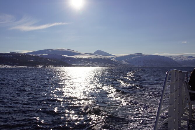Tromsø: Arctic Fjord Cruise & Fishing Experience - Lunch on the Water: Fresh Fish Soup, Hot Drinks, and the Cozy Payoff