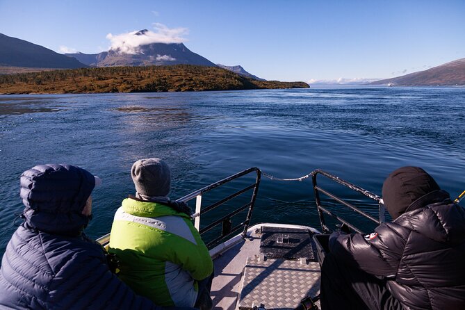 Tromsø: Arctic Fjord Cruise & Fishing Experience - Boat Comfort and Crew Energy: It’s Not Just the Sights