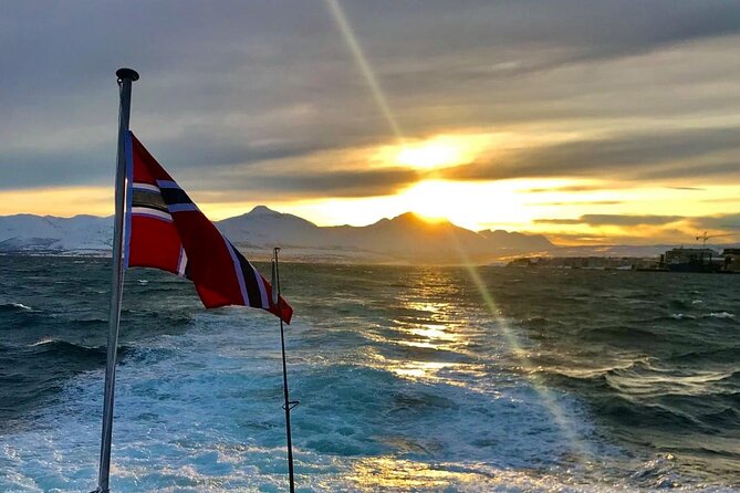 Tromsø: Arctic Fjord Cruise & Fishing Experience - Price and Value: Is $156.08 a Good Deal?