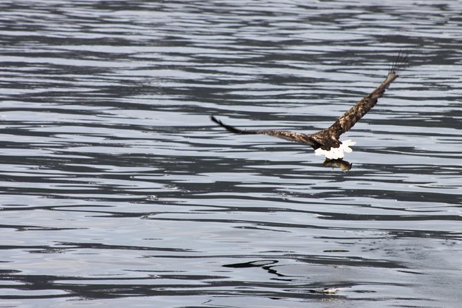 Tromsø: Arctic Fjord Cruise & Fishing Experience - Who This Tour Suits Best in Tromsø