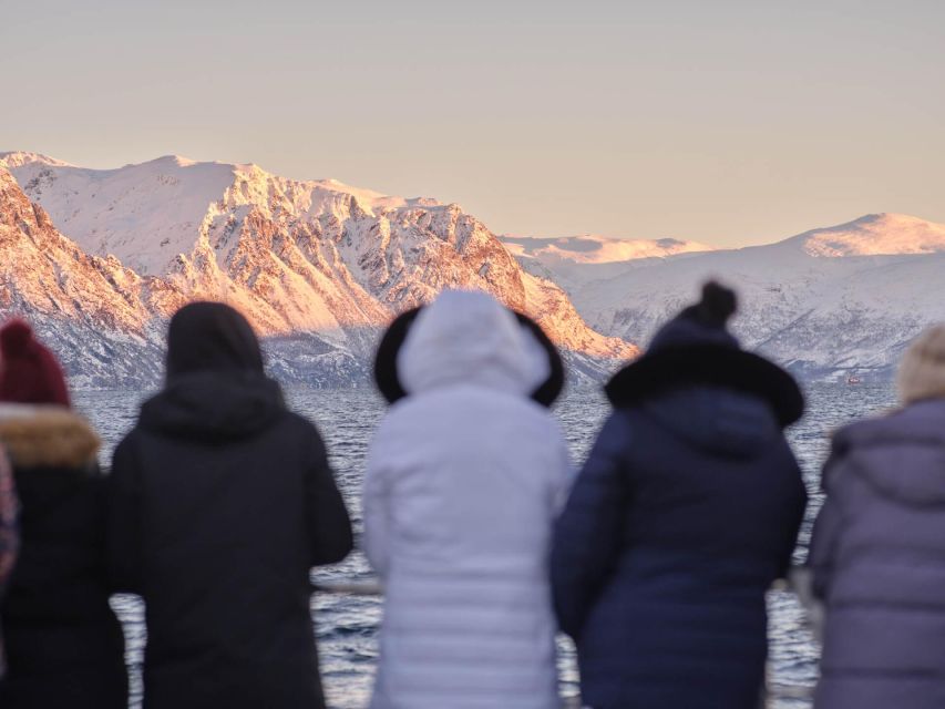 Tromsø: Arctic Fjord Cruise in Polar Landscapes - Should you book the Arctic fjord cruise with Rødne Fjord Cruise?