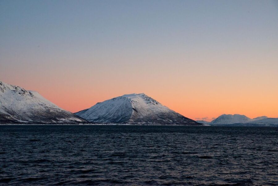 Tromsø: Arctic Fjord Cruise in Polar Landscapes - Wildlife spotting in Arctic fjords: sea eagles, seals, foxes, and the weather factor