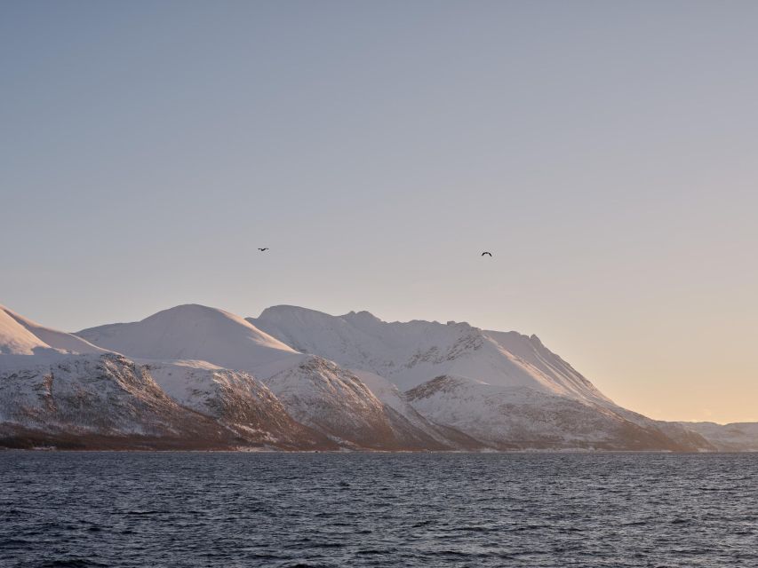 Tromsø: Arctic Fjord Cruise in Polar Landscapes - Route surprises: reroutes, small villages, and possible historic stops