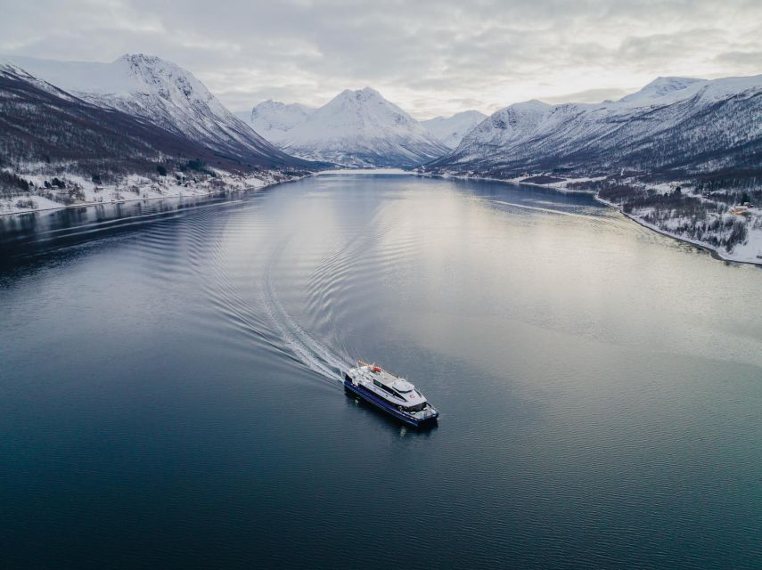 Tromsø: Arctic Fjord Cruise in Polar Landscapes - Price and value at about $120 for 3.5 hours