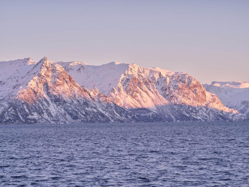 Tromsø: Arctic Fjord Cruise in Polar Landscapes - What to bring for Arctic weather on the water