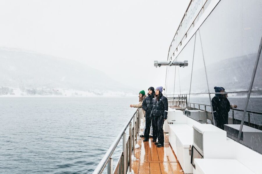 Tromsø: Arctic Fjord Cruise With Stop On Land At Fish Racks - Key highlights you’ll actually care about