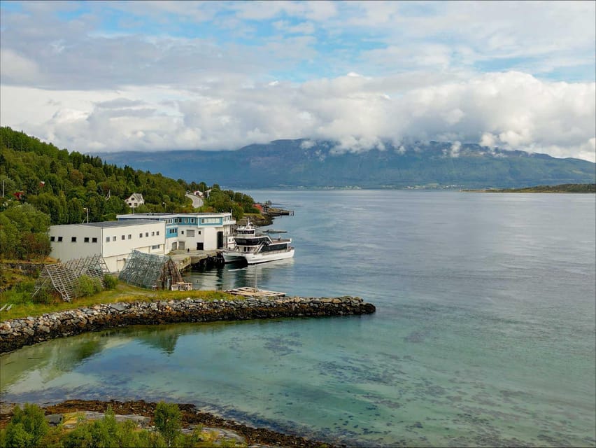 Tromsø: Arctic Fjord Cruise With Stop On Land At Fish Racks - Store Grindoya: guided sights plus wildlife viewing odds