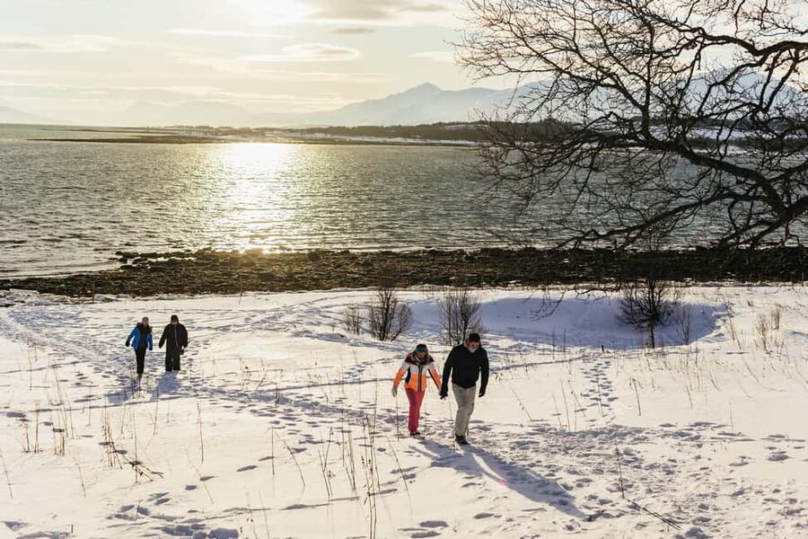 Tromsø: Arctic Landscape and Fjord Tour with Snacks - Should you book this Tromsø fjord tour?