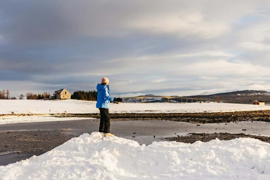 Tromsø: Arctic Landscape and Fjord Tour with Snacks - What you might see: reindeer, moose, seals, eagles, and otters