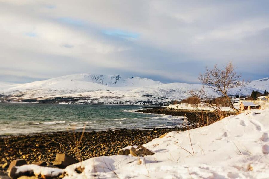 Tromsø: Arctic Landscape and Fjord Tour with Snacks - Staying warm: thermal suits, hot chocolate, lefse cake, and snack timing