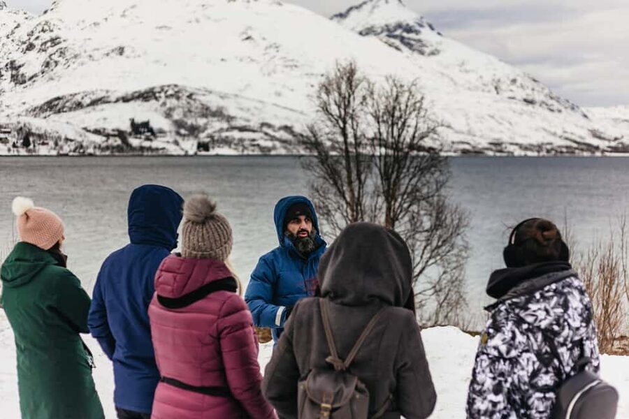 Tromsø: Arctic Landscape and Fjord Tour with Snacks - Price and value for a 5-hour fjord viewpoint tour
