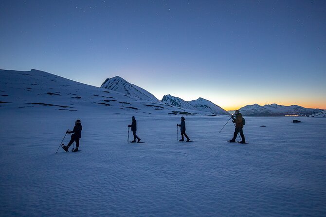 Tromsø: Arctic Landscapes Hiking / Snowshoeing Tour in the wild - The small-group setup and the 4x4 Toyota Land Cruiser ride