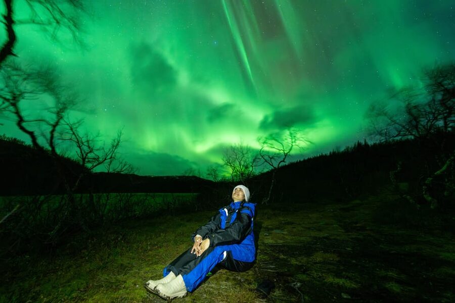 Tromsø: Aurora Borealis, Campfire, Hot Meal, Arctic Tour - What to expect from the Northern Lights itself