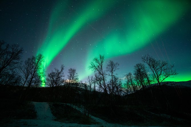 Tromso Aurora Chase by Minibus with Thermal Suit, Snack and Photo - Kilpisjarvi and Bardufoss: Longer Drives When the Forecast Points That Way