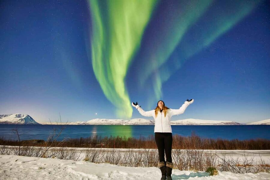 Tromsø: Aurora Crystal Lavvo Overnight Stay with Activities - Scheduling: timing, duration, and when you’re actually watching